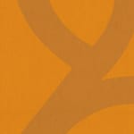 Team African Pre-seed 